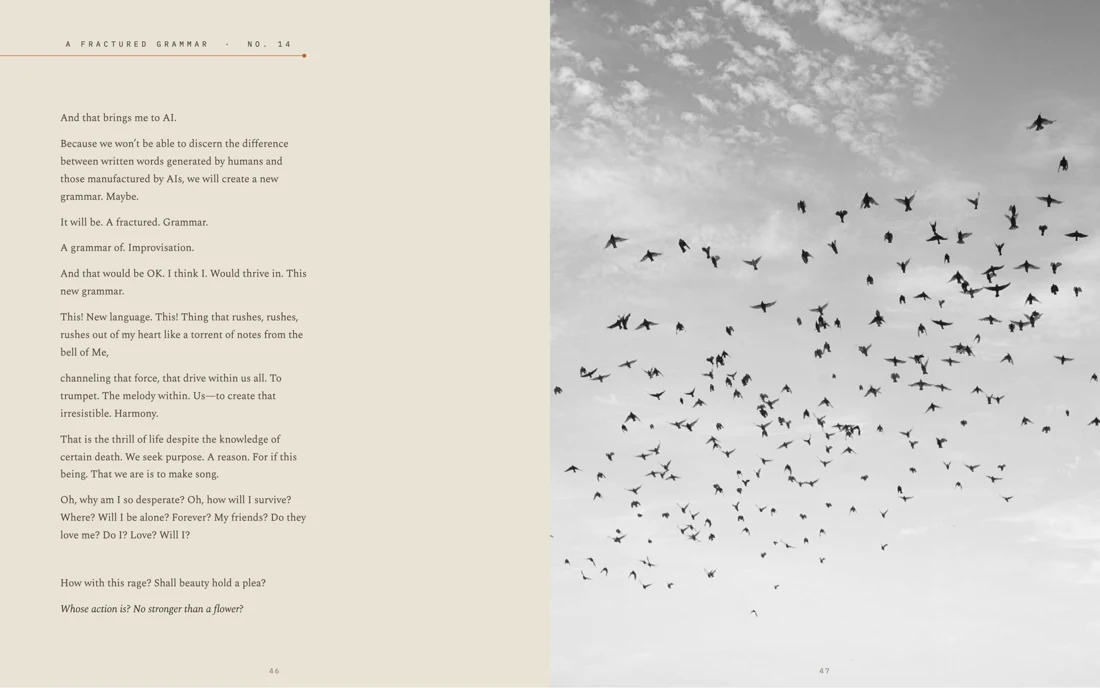 Interior spread: A Fractured Grammar